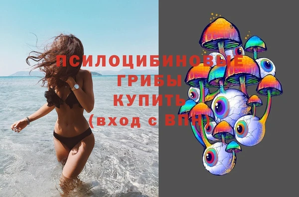 амф Балахна