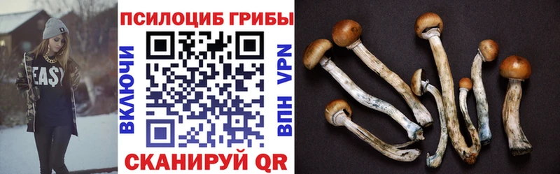 Псилоцибиновые грибы MAGIC MUSHROOMS  Ессентуки 